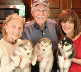 Paula Honigman, Harold & Lois Schwartzapfel 2011 George Pups